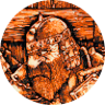 Warlock RPG